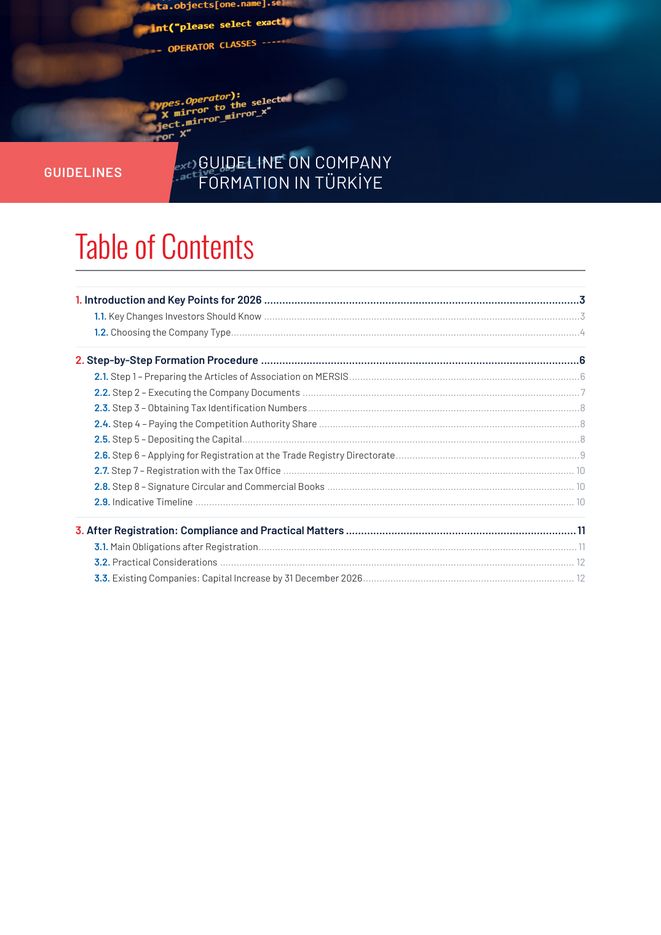 Sample page from Guideline on Company Formation in Türkiye: Table of Contents