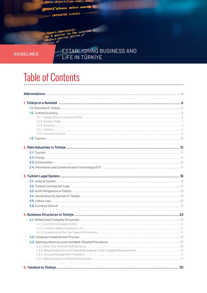Sample page from Establishing Business and Life in Türkiye: Table of Contents